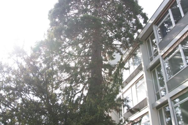 Schulanmeldung 09. -12.03.2026